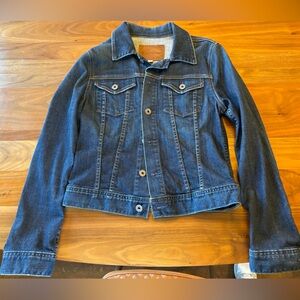 AG the Robyn denim jacket